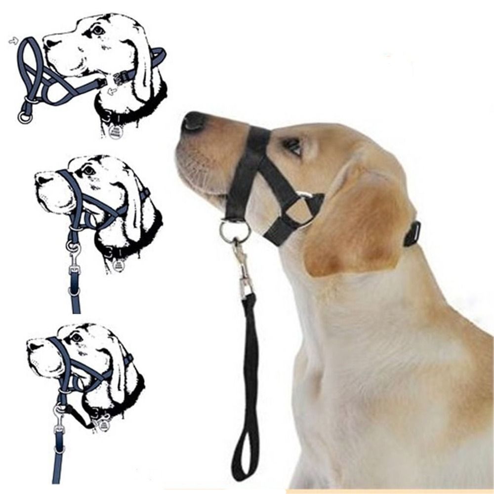 No Pull Dog Harness - Nylon-Trainingsleine, Anti-Zug-Hundegeschirr, Hundemaulkorb, Hundekopfgeschirr, Führgeschirr