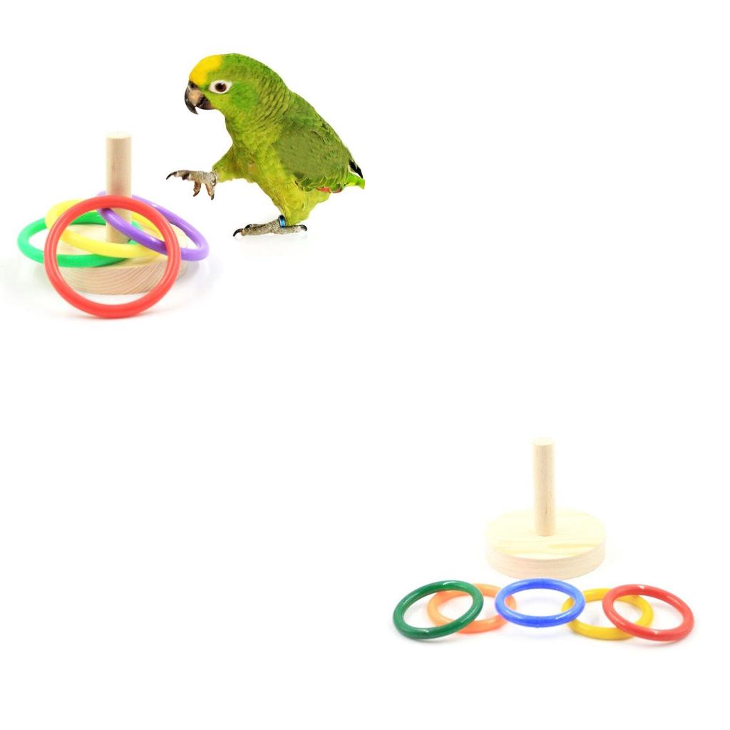 Pet Supplies Ringwood - Vogelpapagei Holzplattform Kunststoffringe Intelligenztraining Kaupuzzle Spielzeug