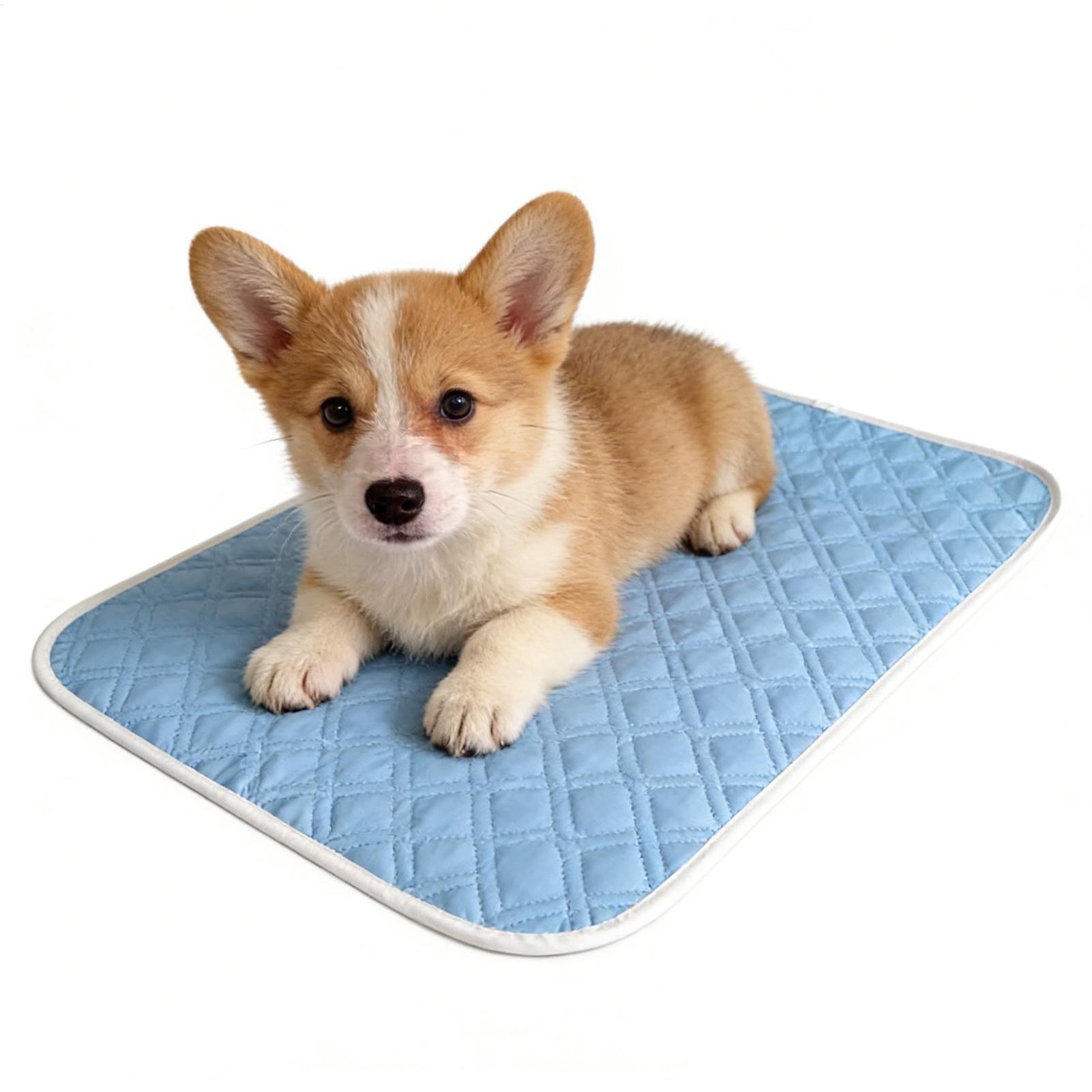 Pet Supplies Self Wash - 35x45cm Sommer-Haustiermatte, kühlende Hundedecke für Hunde