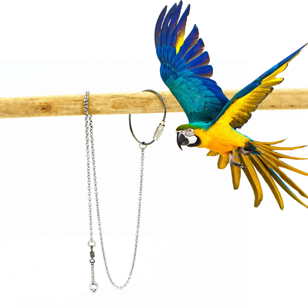 Pet Supplies Ringwood - 1Pcs Pet Papagei Bein Ring Knöchel