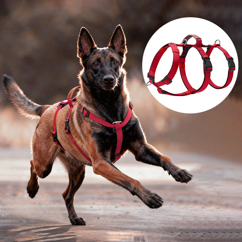 Fluchtsicheres Nylon-Hundegesc – No Pull Dog Harness Bewertung und Preis