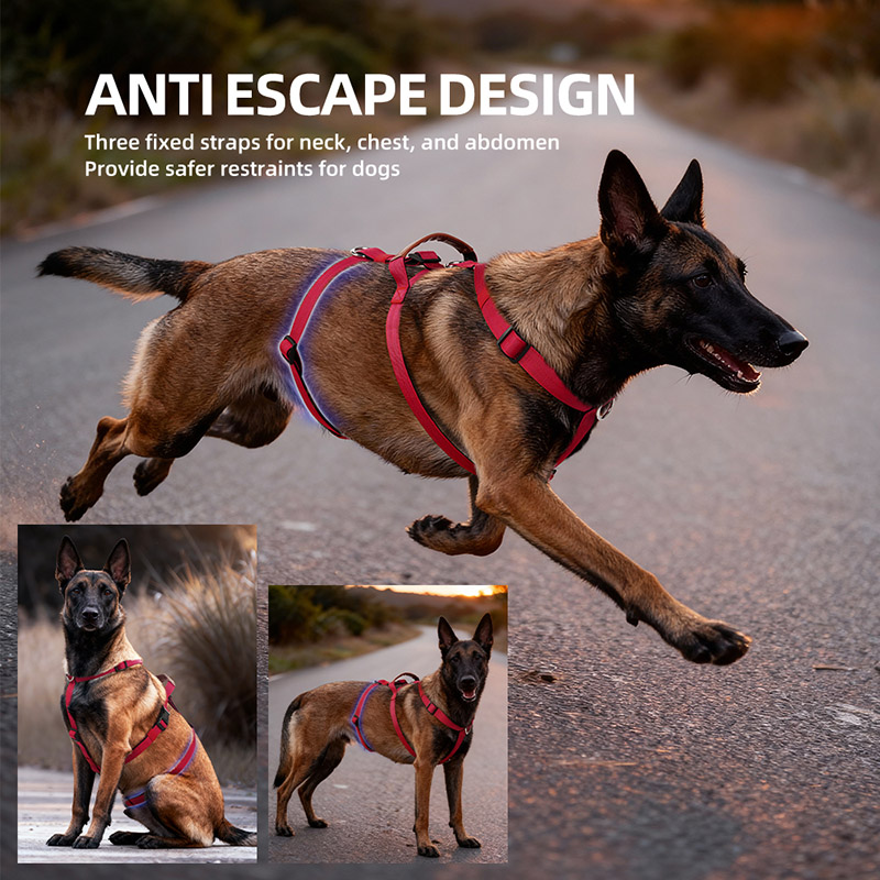 Fluchtsicheres Nylon-Hundegesc – No Pull Dog Harness Bewertung und Preis