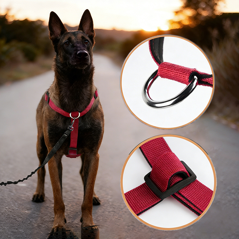 Fluchtsicheres Nylon-Hundegesc – No Pull Dog Harness Bewertung und Preis