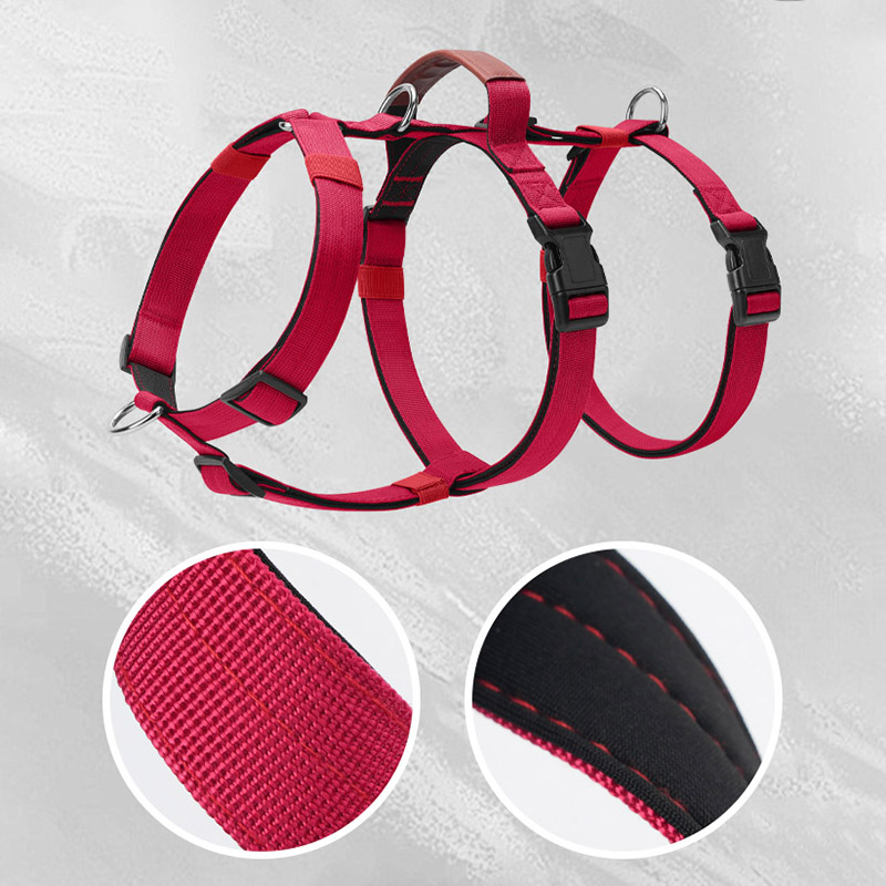 Fluchtsicheres Nylon-Hundegesc – No Pull Dog Harness Bewertung und Preis