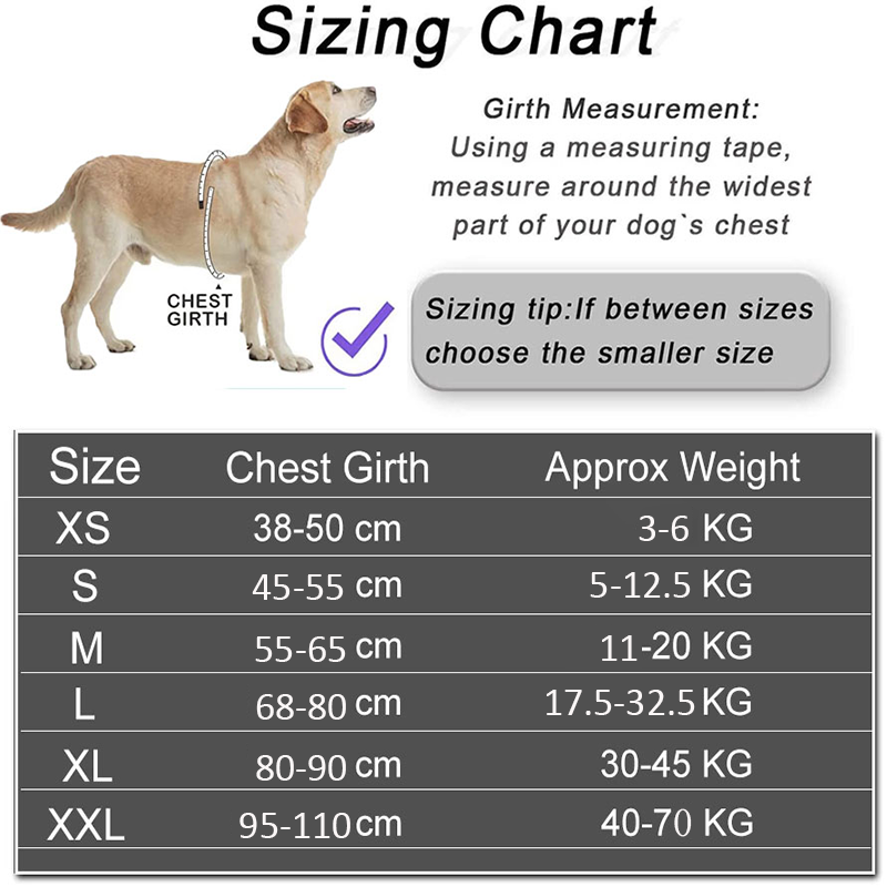 Dropshipping Hundegeschirr Wes – No Pull Dog Harness Bewertung und Preis