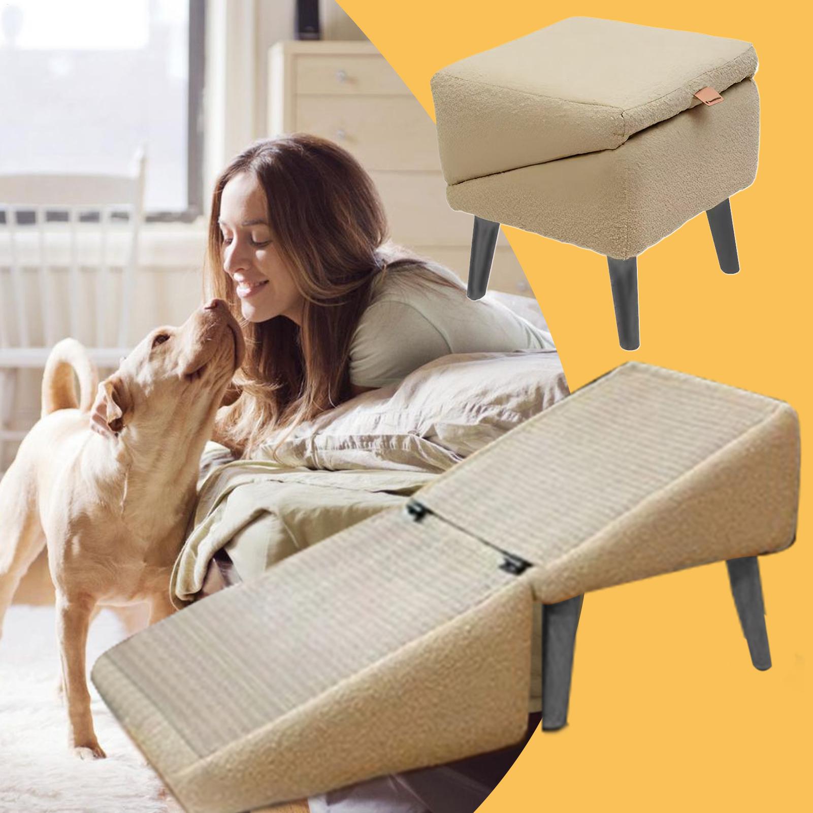 Multifunktionale Faltbare Haus – Calming Dog Bed Bewertung und Preis