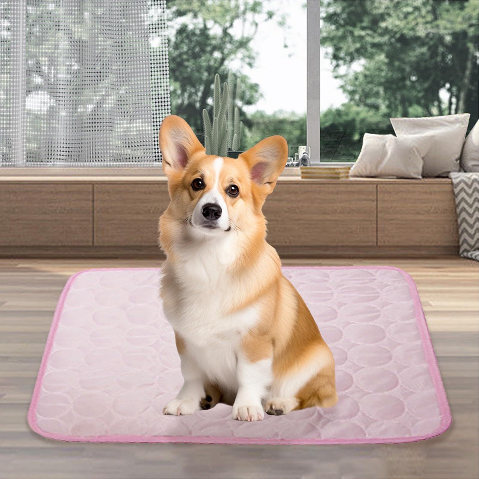 Sommer-Kühlmatte für Haustiere – Pet Supplies Self Wash Bewertung und Preis