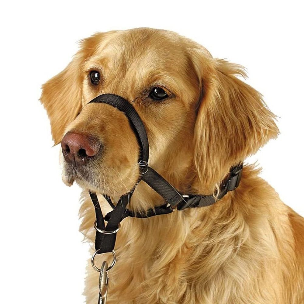 Nylon-Trainingsleine, Anti-Zug – No Pull Dog Harness Bewertung und Preis