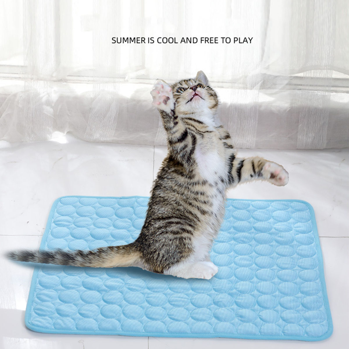 Haustier-Kühlmatte für Sommer, – Calming Dog Bed Bewertung und Preis