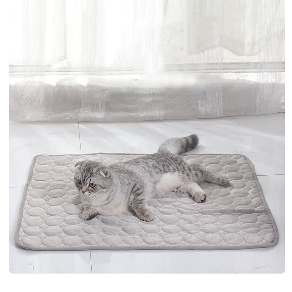 Haustier-Kühlmatte für Sommer, – Calming Dog Bed Bewertung und Preis