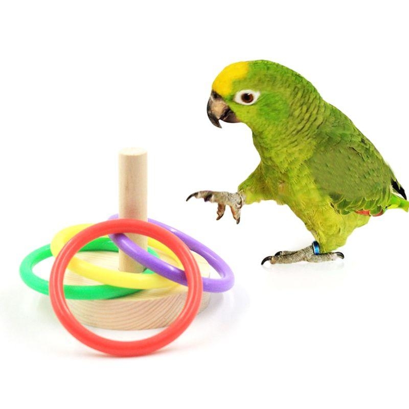 Vogelpapagei Holzplattform Kun – Pet Supplies Ringwood Bewertung und Preis