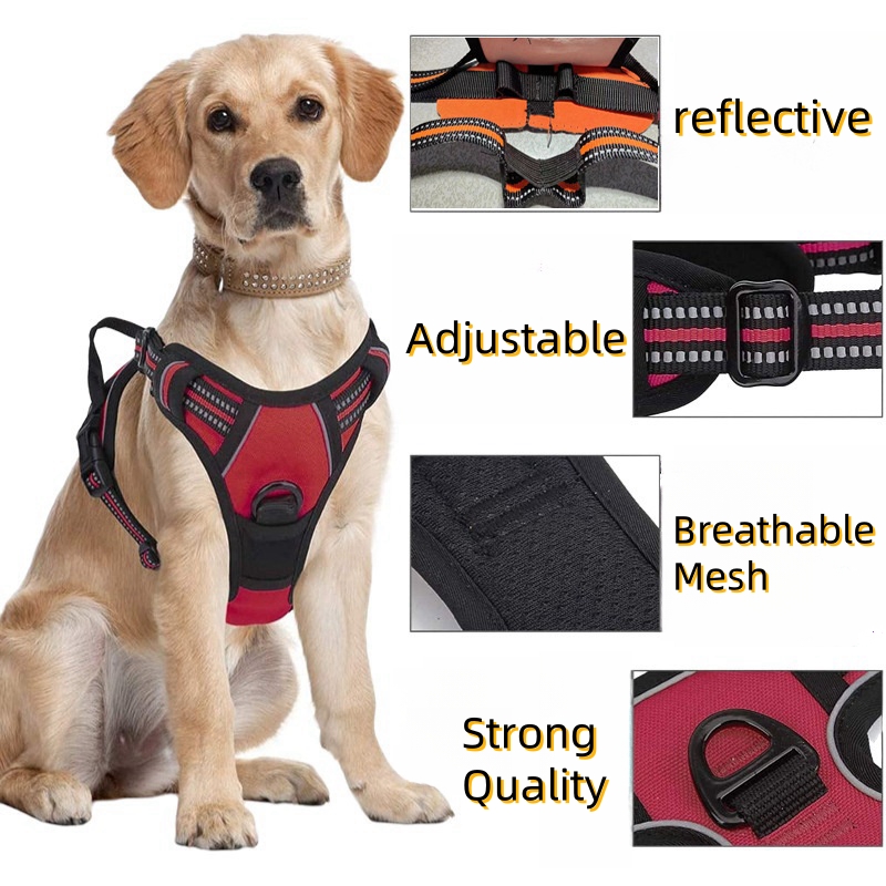 Zugsicheres Hundegeschirr für  – No Pull Dog Harness Bewertung und Preis