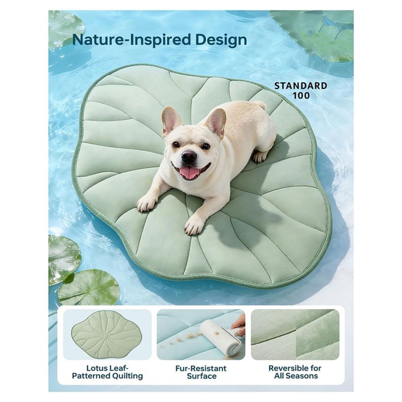ABAE-Summer 2.0 Hunde-Kühlmatt – Pet Supplies Self Wash Bewertung und Preis