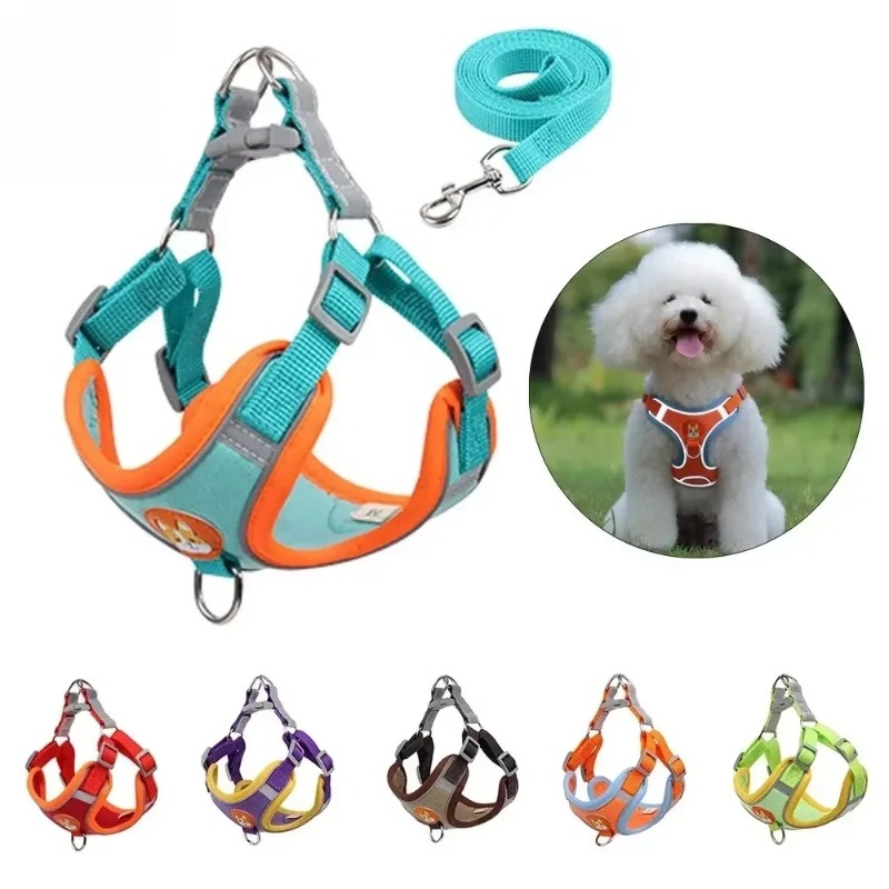 Zugsicheres Hundegeschirr-Set  – No Pull Dog Harness Bewertung und Preis