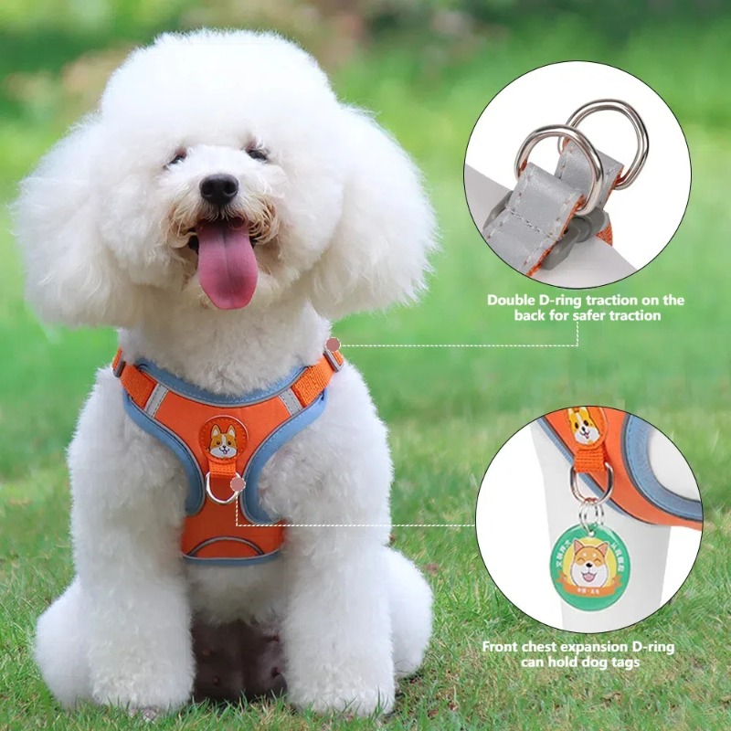 Zugsicheres Hundegeschirr-Set  – No Pull Dog Harness Bewertung und Preis