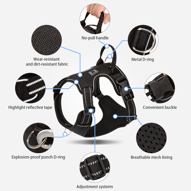 KLEINE KOMBINATION Hundegeschi – No Pull Dog Harness Bewertung und Preis