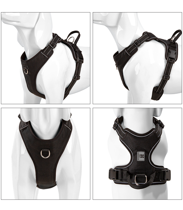 KLEINE KOMBINATION Hundegeschi – No Pull Dog Harness Bewertung und Preis