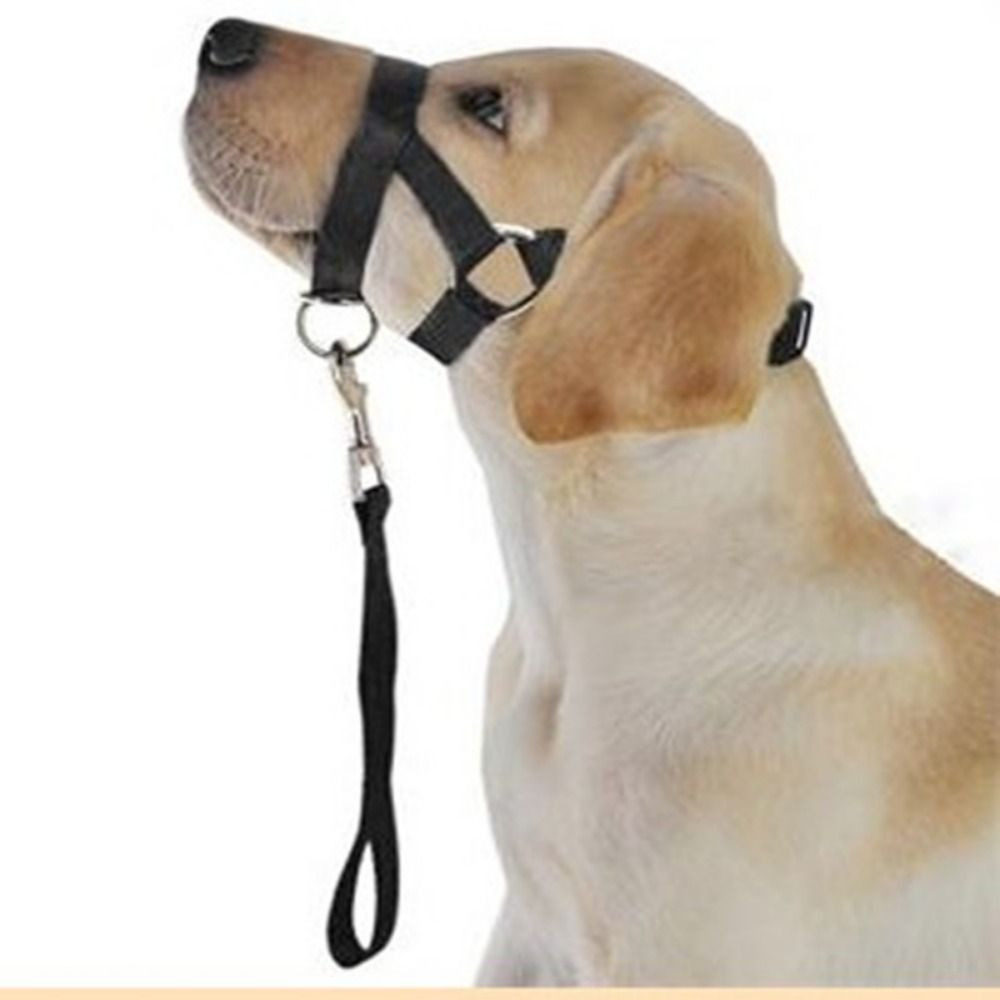 Einstellbare Anti-Barking-Nylo – No Pull Dog Harness Bewertung und Preis