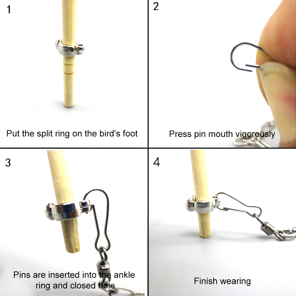 1Pcs Pet Papagei Bein Ring Knö – Pet Supplies Ringwood Bewertung und Preis